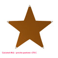 Étoile tendue en lycra caramel - 5 branches
