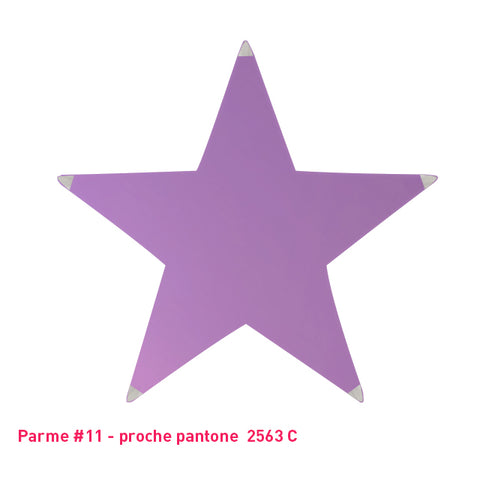 Étoile tendue en lycra parme- 5 branches