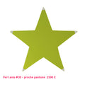 Étoile tendue en lycra vert anis - 5 branches