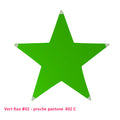 Étoile tendue en lycra vert fluo - 5 branches