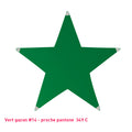 Étoile tendue en lycra vert gazon - 5 branches